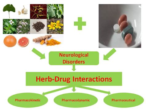 passionflower herb drug interactions